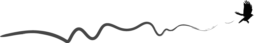 bird_dark bird_dark